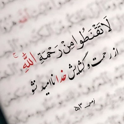 کمیته پژوهش